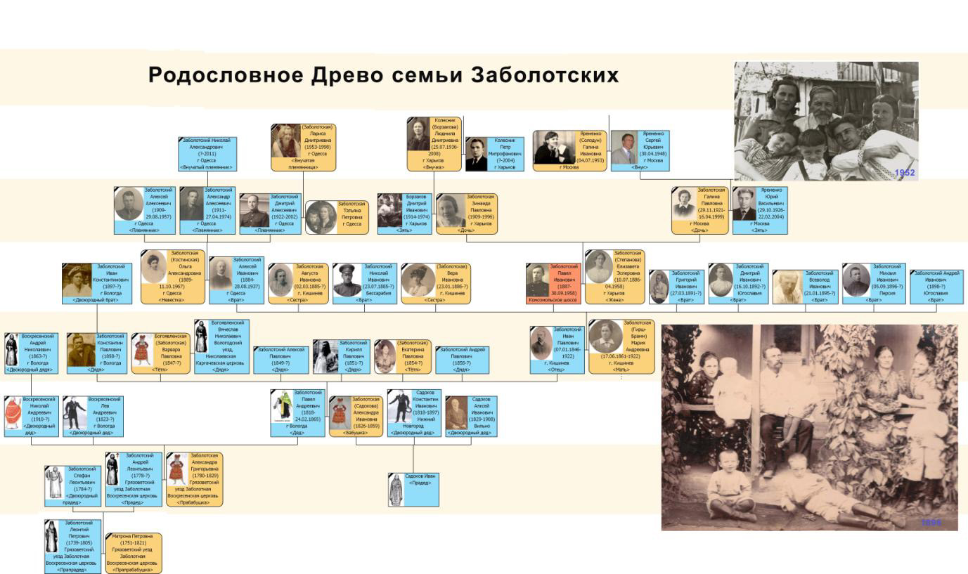Заболотские. ЯрИРО