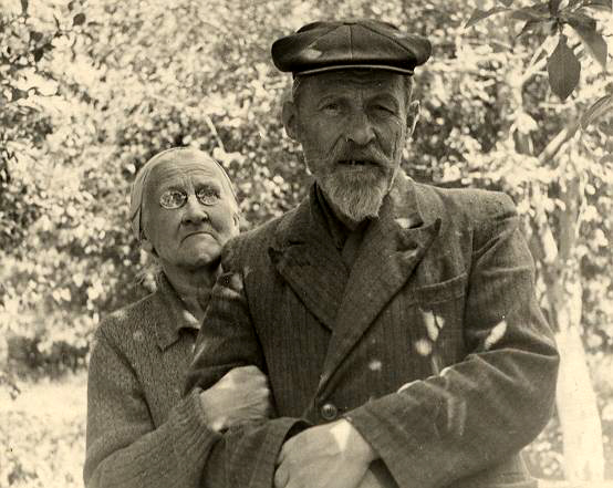 Ярославских дворян Степановых